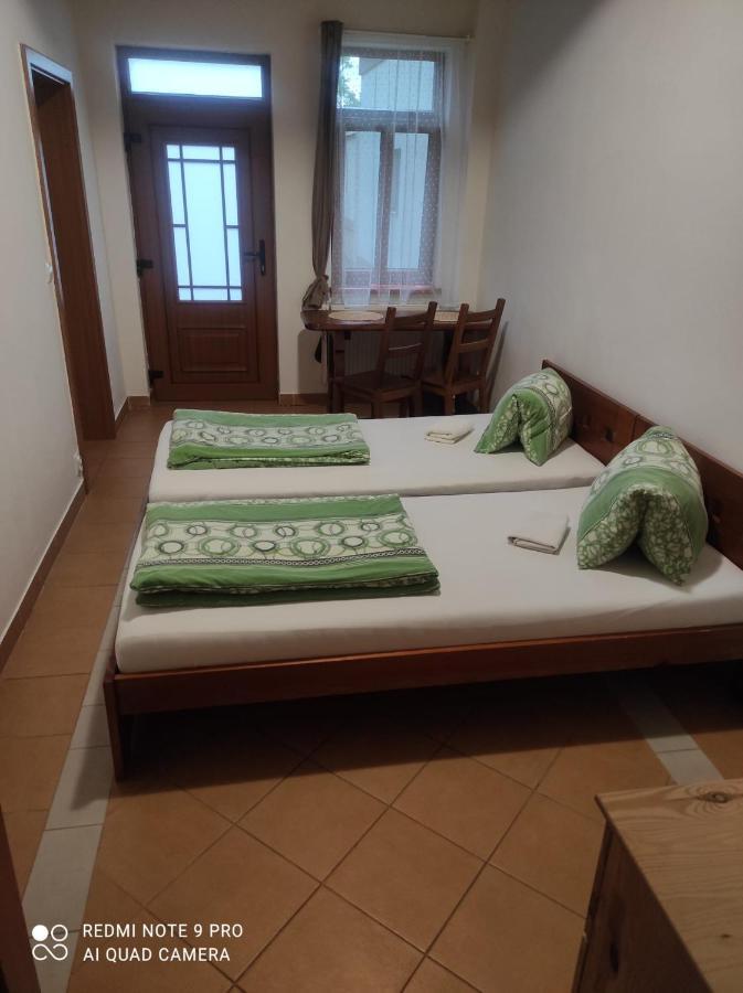 Penzion Dolní Dunajovice المظهر الخارجي الصورة