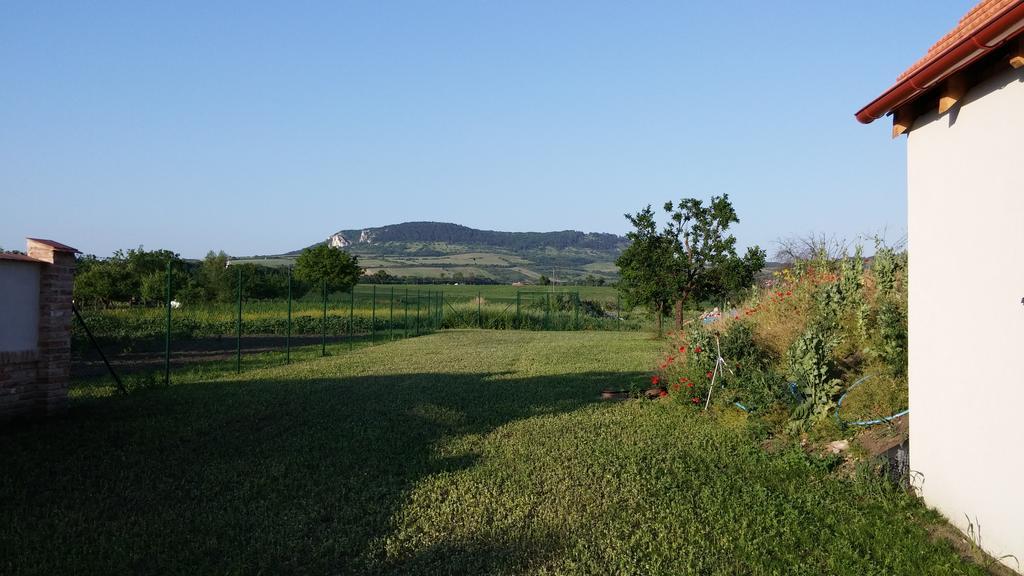 Penzion Dolní Dunajovice المظهر الخارجي الصورة