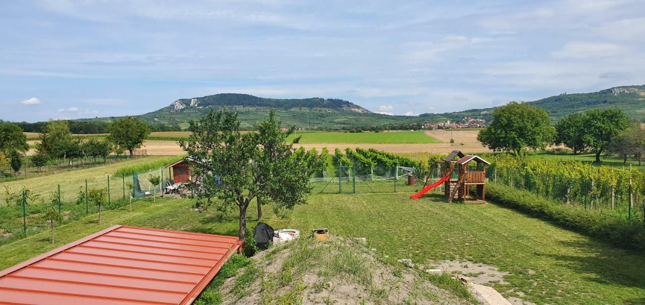Penzion Dolní Dunajovice المظهر الخارجي الصورة