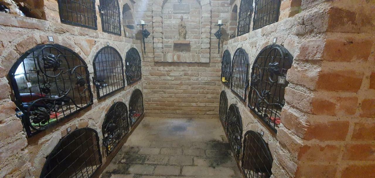 Penzion Dolní Dunajovice المظهر الخارجي الصورة